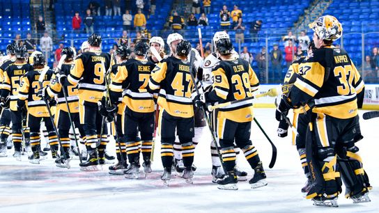 Nylander's OT goal sends Wilkes-Barre to second round taken at PPG Paints Arena (Penguins)